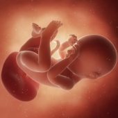 38 tydzień ciąży, kalendarz ciąży, czym jest karta porodu