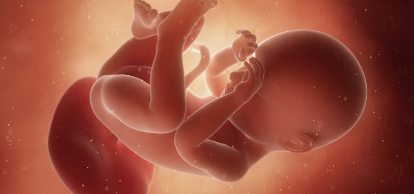 38 tydzień ciąży, kalendarz ciąży, czym jest karta porodu