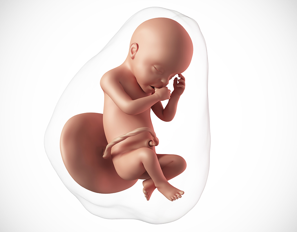 К чему снится ребенок в животе шевелится. Малыш 30 недель в утробе.