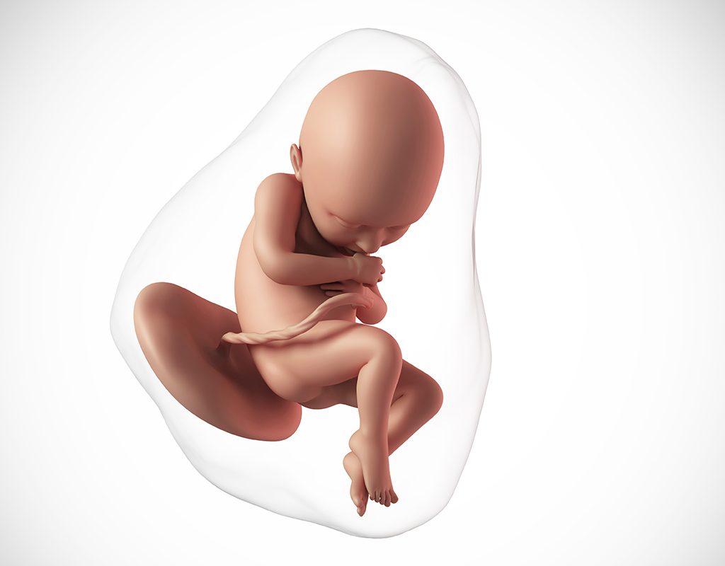 Активный ребенок 36 недель. Ребенок на 36 неделе беременности. Плод ребенка фон для презентации. Как выглядит ребёнок на 36 неделе беременности.